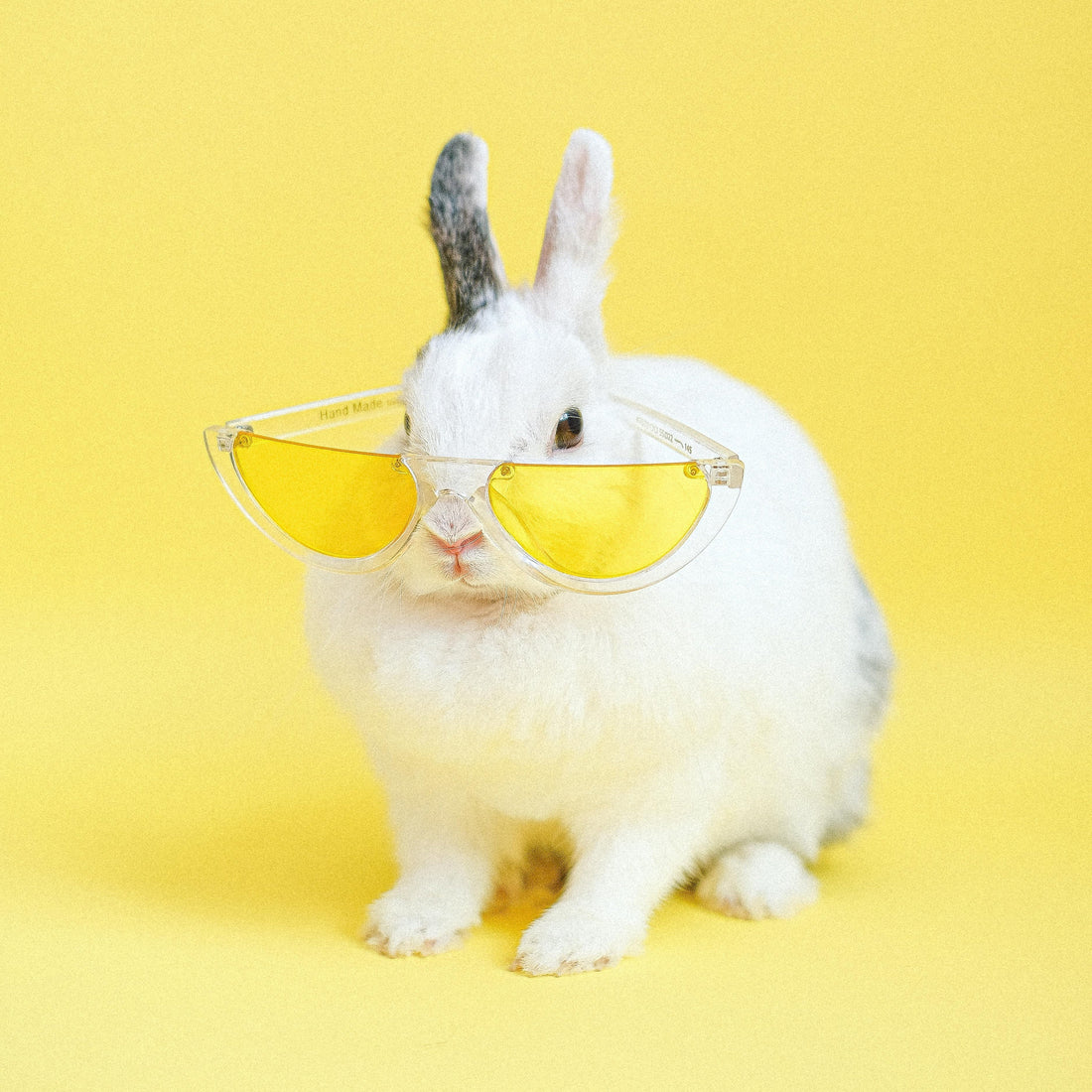 Cruelty-Free Skincare: Beauty Without Harm 🐰